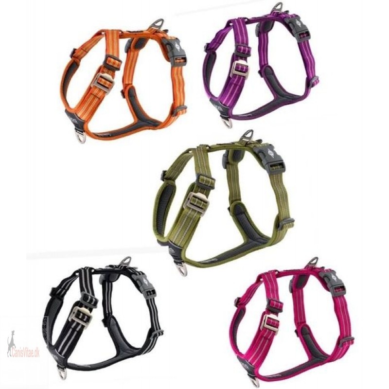 Dog Copenhagen comfort walk air Sele