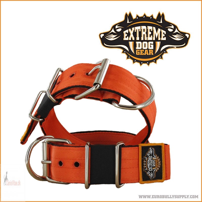 EXTREME DOG GEAR HALSBÅND, 5 CM BREDT - Orange