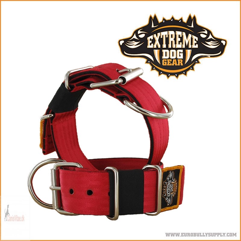 EXTREME DOG GEAR HALSBÅND, 5 CM BREDT - rød