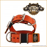 EXTREMEDOGGEARHALSBND5CMBREDTOrange-20
