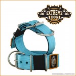 ExtremeDogGearHalsbnd5cmbredtTurkis-20