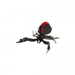 PetsportUSARedBackSpider25cm-20