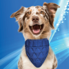 Aqua Coolkeeper Pet bandana. blå - fra