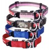 Ezydog double up collar - Large