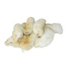 Kaninpoter med pels, 200 gram 